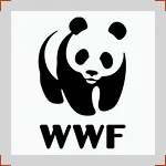 WWF logo
