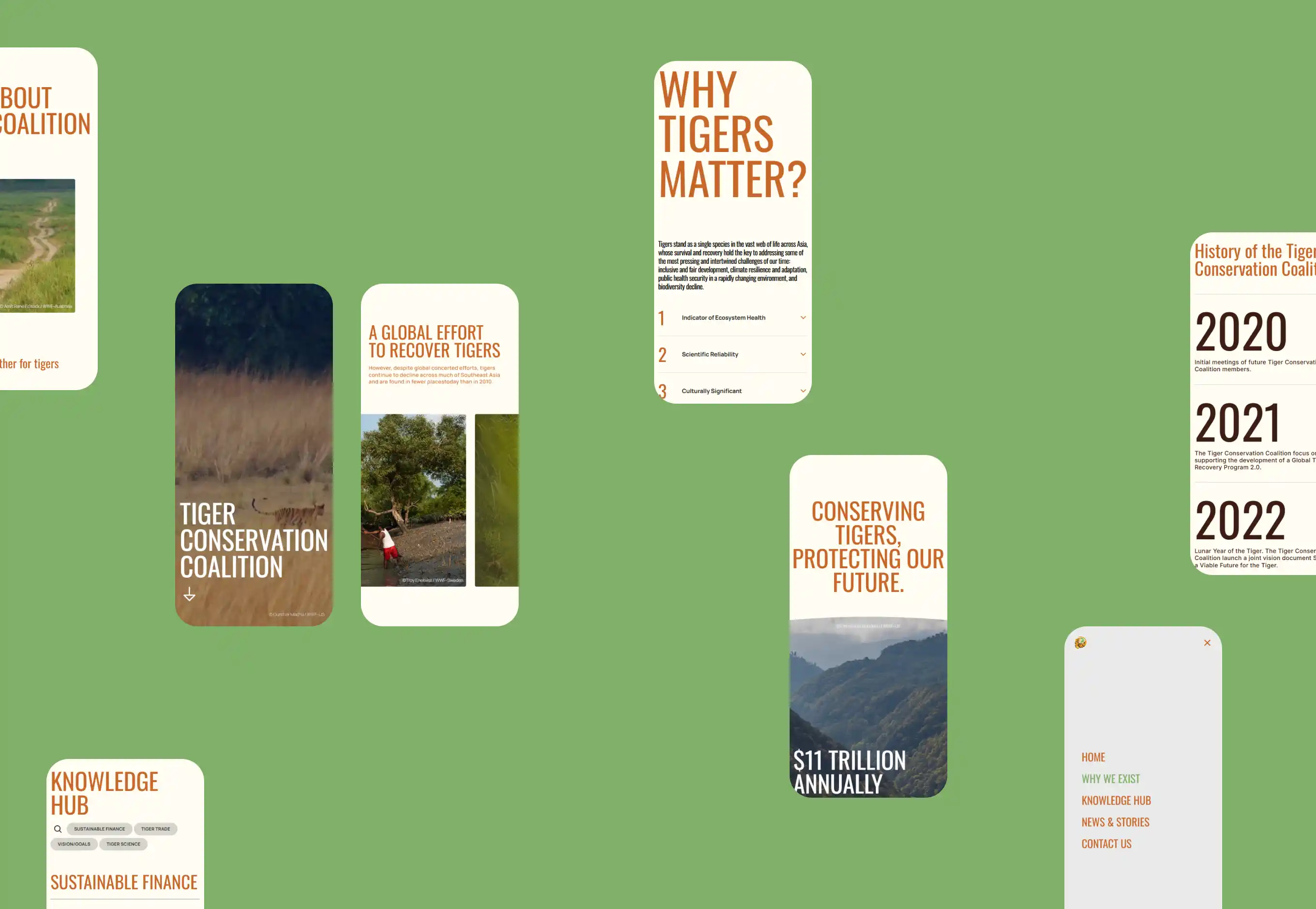 Tiger Conservation Coalition 2 tcc 3