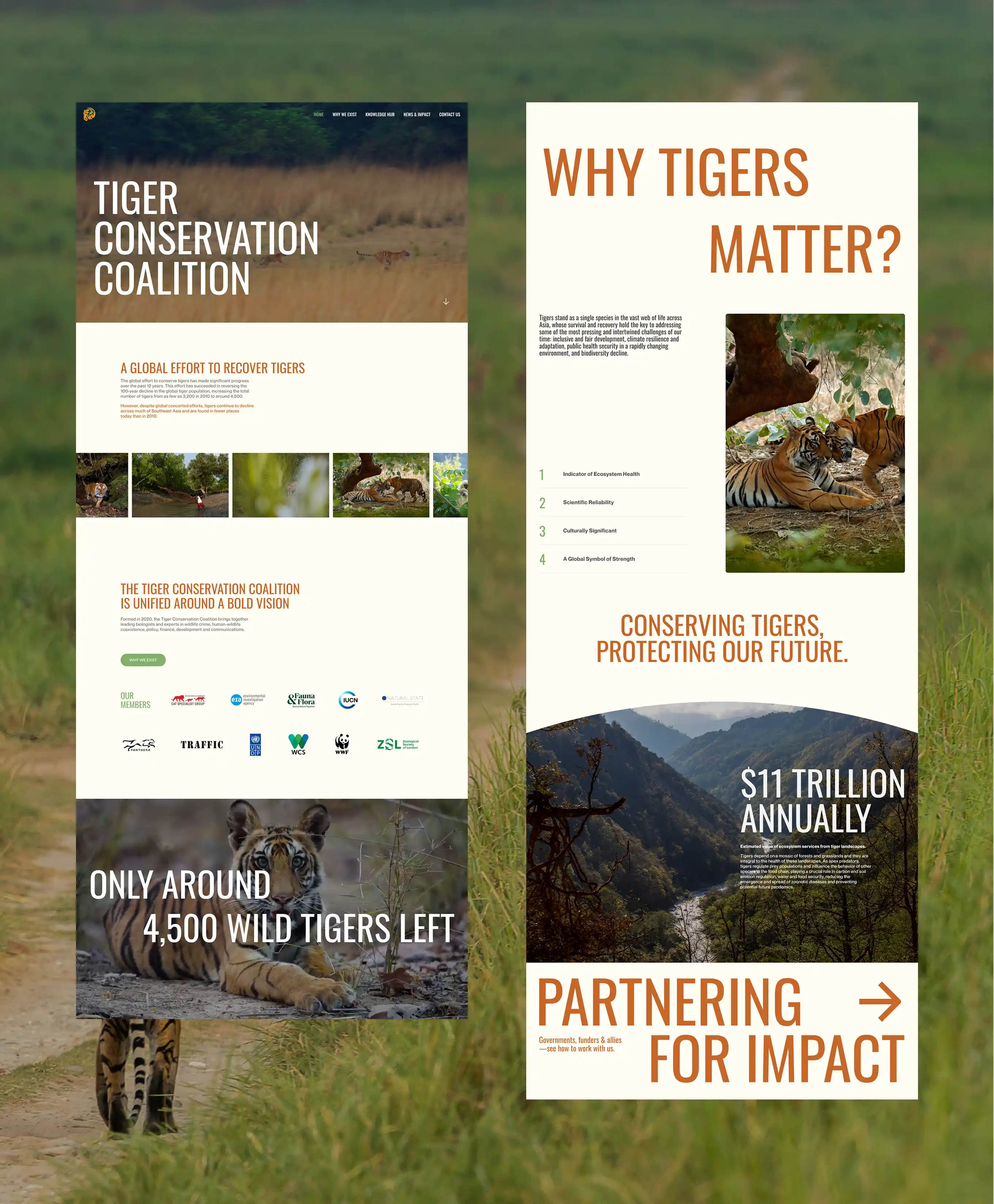 Tiger Conservation Coalition 3 tcc 4