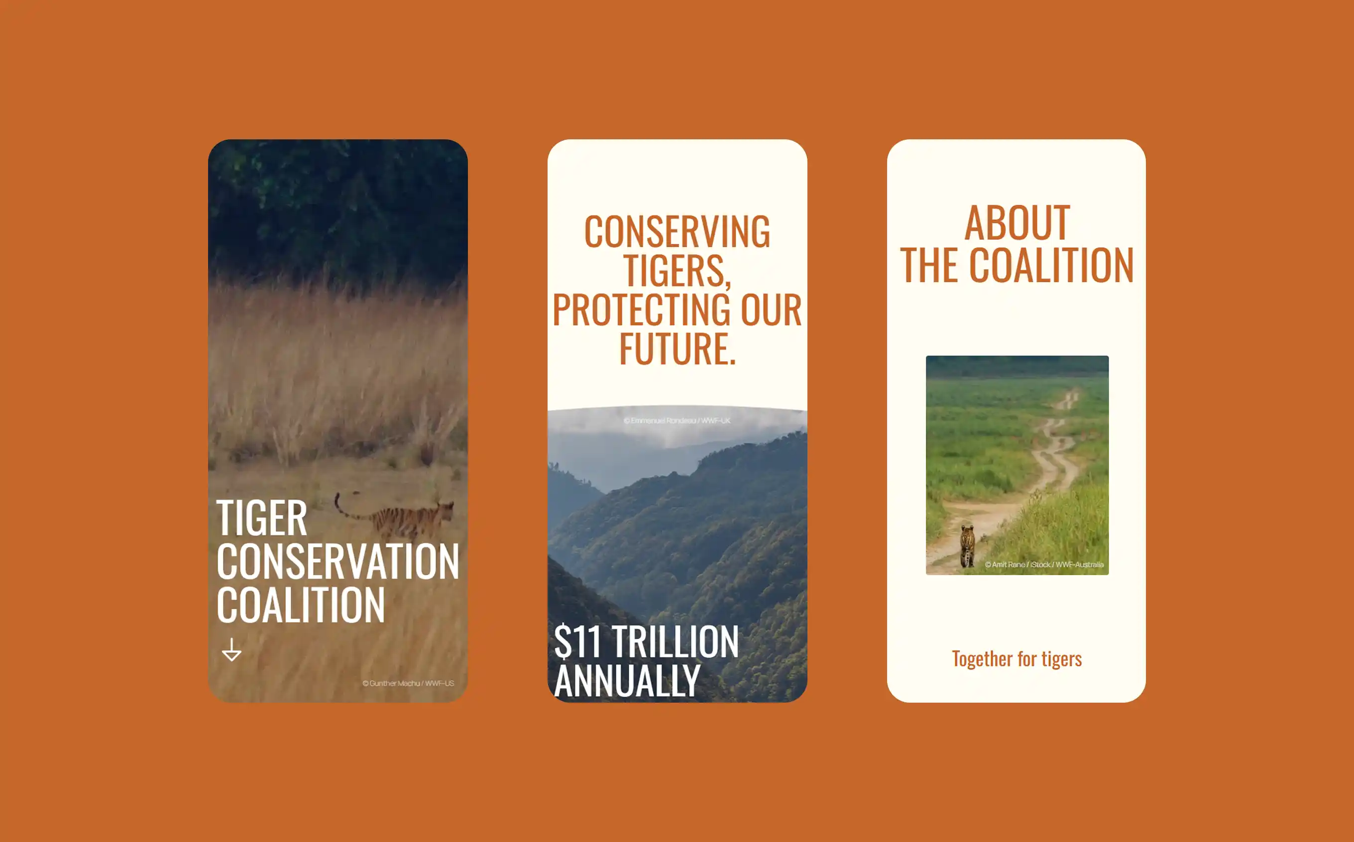 Tiger Conservation Coalition 4 tcc 5