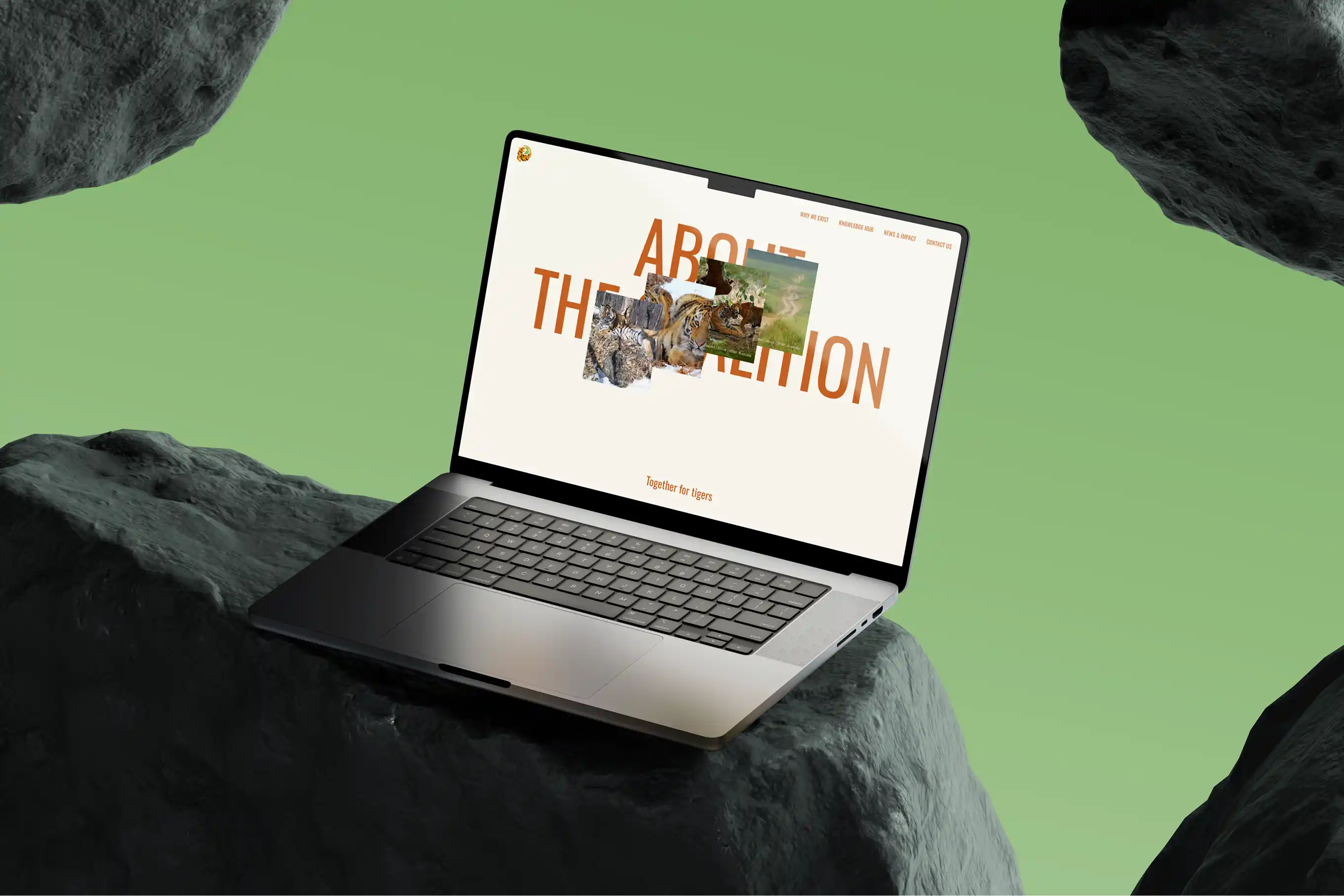 Tiger Conservation Coalition 5 tcc 6