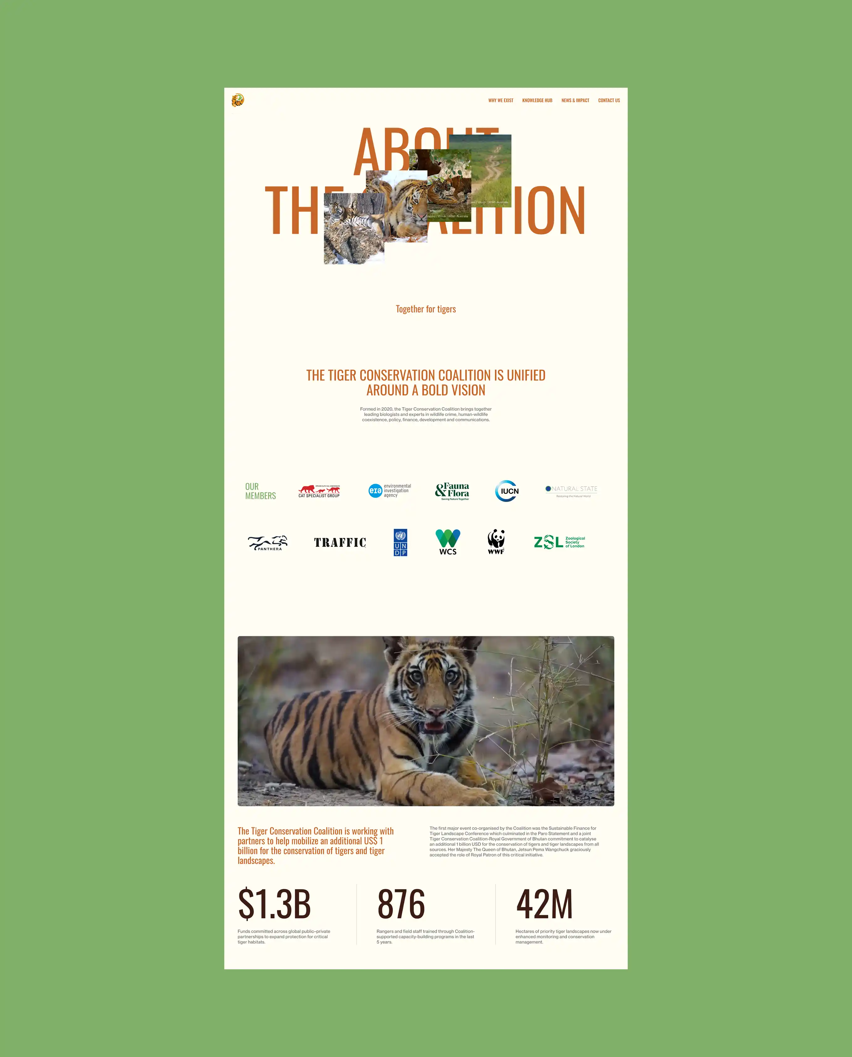 Tiger Conservation Coalition 6 tcc 7