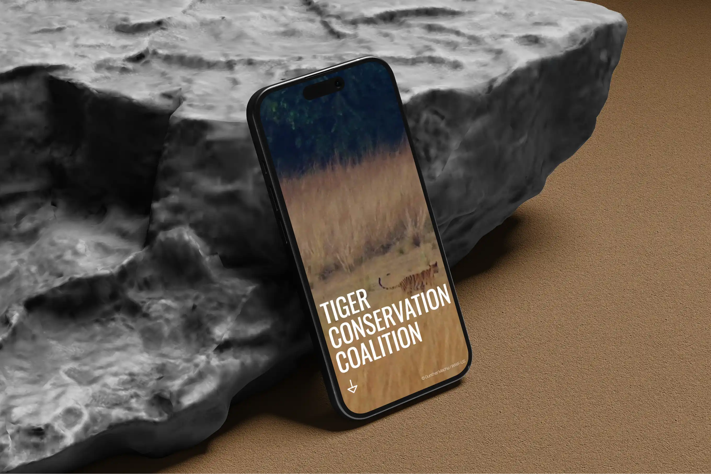 Tiger Conservation Coalition 7 tcc 8